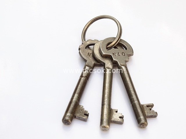 Vintage Metal Keychain: High-Definition Safe Cellar Key Material