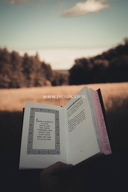 自然中手捧哲学书阅读 沉浸智慧时光