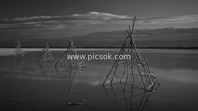 Black-and-White Reflection of Indigenous Huts on Lakeshore: Serene Natural Beauty