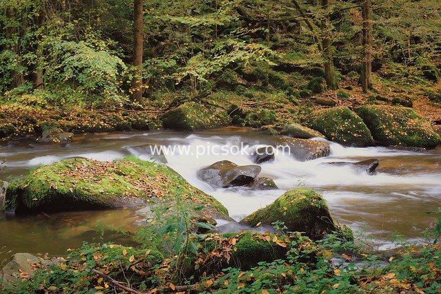 river course, flow, fall, autumnal, autumn colors, nature, landscape