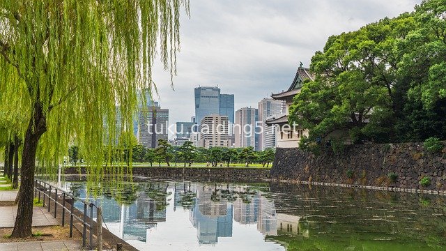 View of Tokyo Imperial Palace Moat and Urban Skyline Reflections
