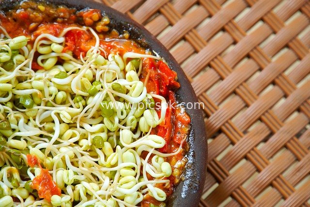 绿豆芽配番茄辣酱 健康美味传统美食特写