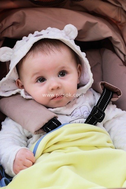 Curious Baby in Stroller | Cute Baby Portrait Material