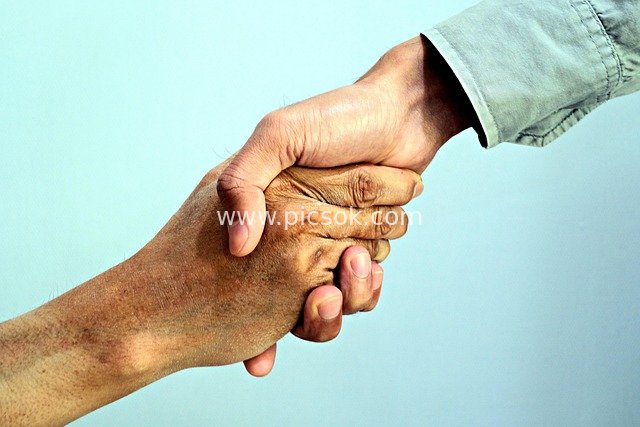 Handshake: A Warm Moment of Friendship, Partnership, and Team Collaboration