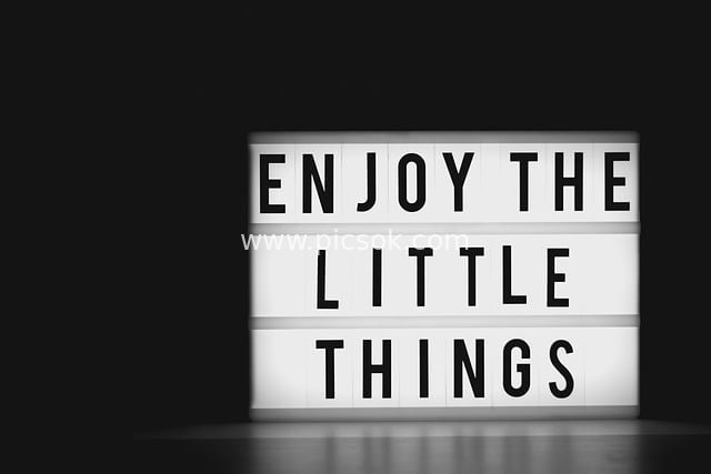 Inspirational Lightbox Sign Image for Enjoying Life's Little Things