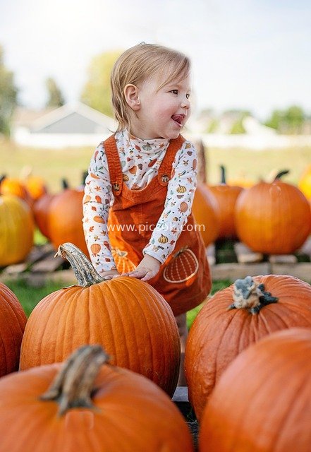 Adorable Little Girl at Autumn Pumpkin Farm (Harvest Season)