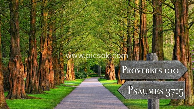 Bible Signpost on the Avenue - Guidance from Psalms and Proverbs Verses