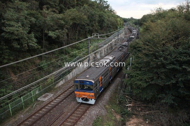 Seoul Subway Traveling Through the Forest: Real Commuting Scene on Korean Railways