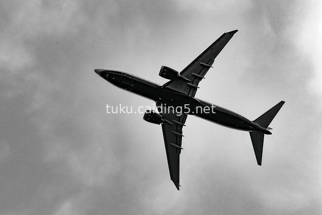 黑白风格飞机翱翔云层 航空飞行旅行图片素材