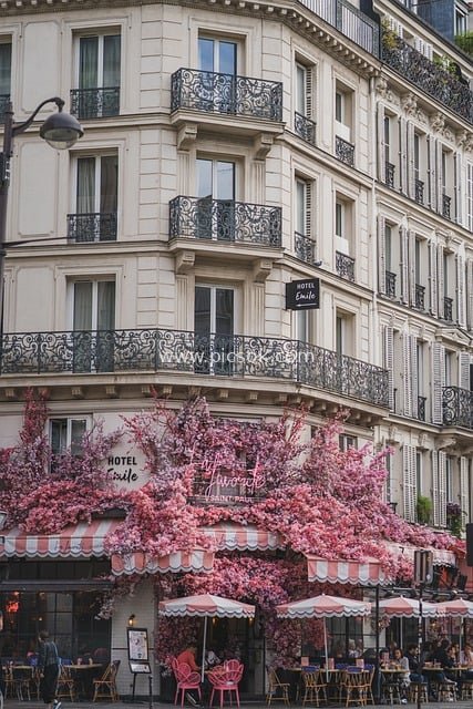 Romantic Parisian Street Corner: French Architecture & Pink Floral Café