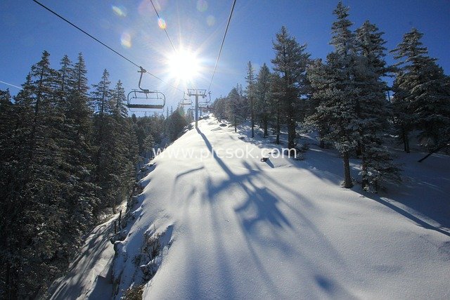 冬日阳光雪山 滑雪缆车穿梭松林雪景