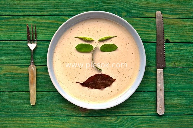 创意树叶人脸餐盘 复古餐具素食静物摄影