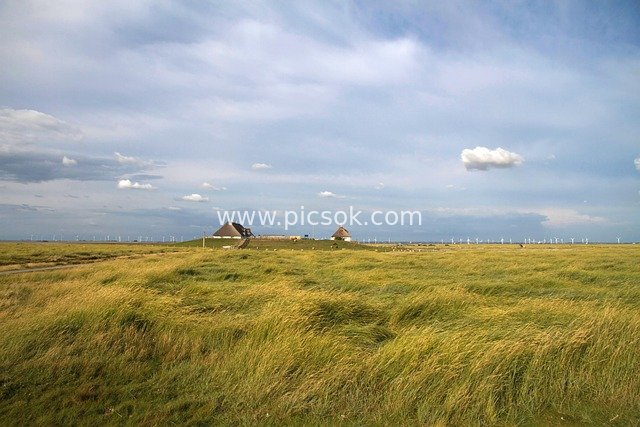 Wadden Sea Salt Marsh Grassland: Thatched Cottages and Scenery of North Sea National Park