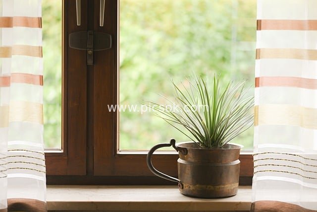窗台绿植铜盆栽 木质窗旁自然温馨景