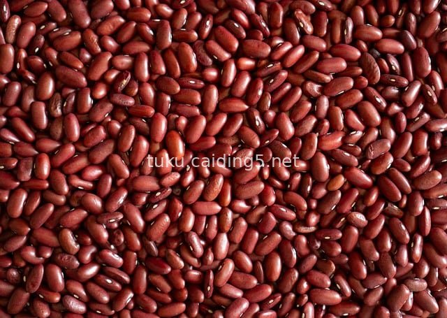 饱满红小豆特写 健康有机素食营养原料