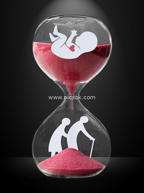 Life Cycle in an Hourglass: Temporal Imagery of Embryo and Aging