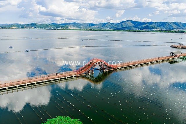 航拍湖景木质栈桥 夏日湿地山水风光