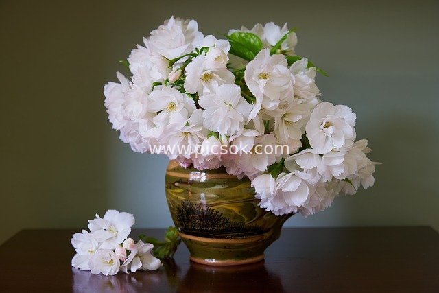 清新樱花花束 陶罐静物花卉装饰图