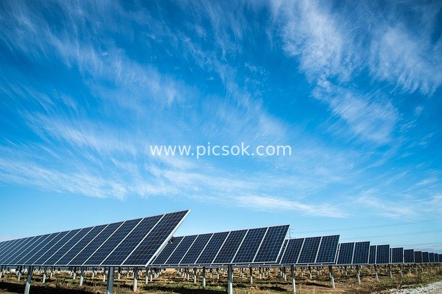 Solar Panels Under Blue Sky and Green Grass – Outdoor Clean Energy Scene