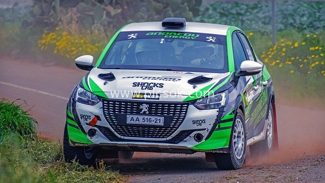 绿白标致拉力赛车尘土赛道激情飞驰