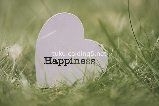 草地上的幸福心形牌 温暖治愈户外场景