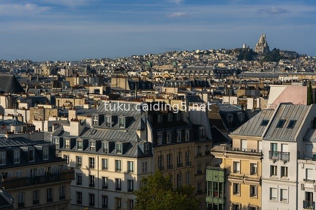 Paris Cityscape: Sacré-Cœur Basilica and European Architectural Rooftops