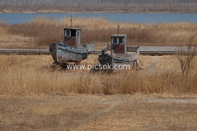 Old Wooden Boat and Boardwalk Among Withered Grass by the River