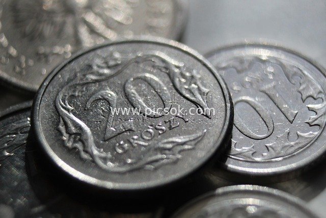 Close-up of 20 Groszy Coin – Currency Details and Financial Concepts