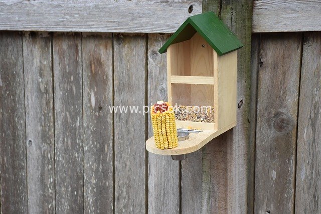 Creative Wooden Feeder: Shared Corn Seed Feeding Station for Squirrels and Birds