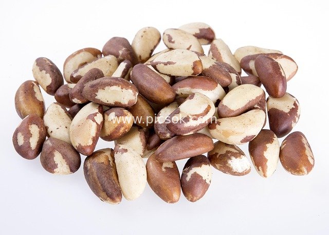 Natural Brazil Nuts - Nutritious Energy-Rich Nut Ingredient