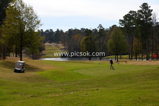 golf, sport, game, play, golf course, golfer, recreation, leisure, lifestyle, greens, landscape, nature, putting
