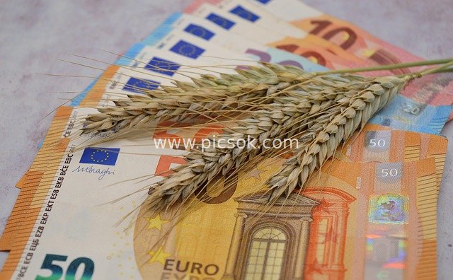 Wheat Ears Beside 50 Euro Banknotes: Link Between Food Prices and Economy