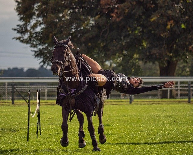 Female Rider Performs Equestrian Stunts on Horseback, Showcasing Exceptional Horsemanship Skills