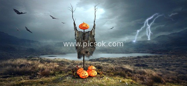 Halloween Spooky Pumpkin Scarecrow in Gloomy Wilderness with Lightning and Bats