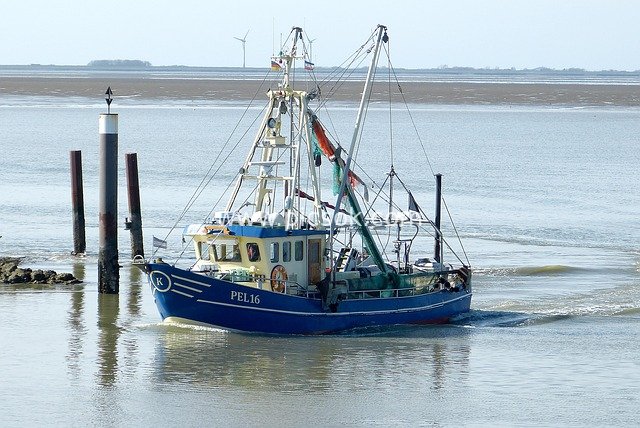 Blue Crab Fishing Boat in North Sea Intertidal Zone: Fishing Operation Scene