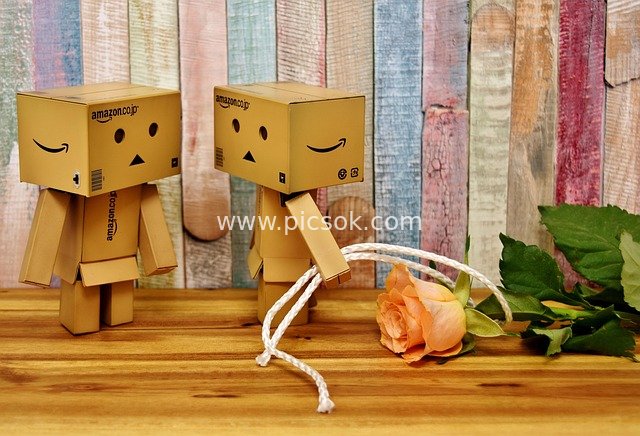 Romantic Scene of Cute Danbo Cardboard Robots with Roses for Proposal or Apology