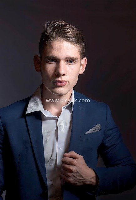 Portrait of a Handsome Businessman in Navy Blue Suit – Workplace Elite Image
