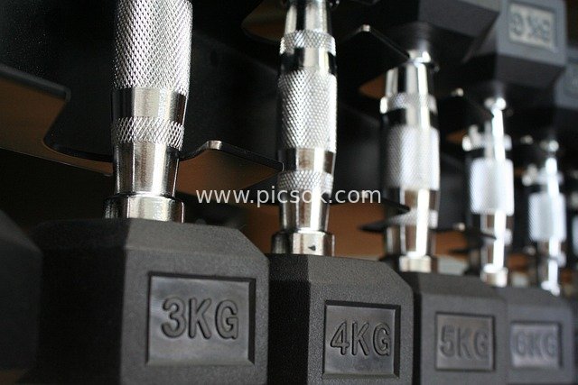 Close-up of Gym Dumbbells: Strength Training Fitness Equipment