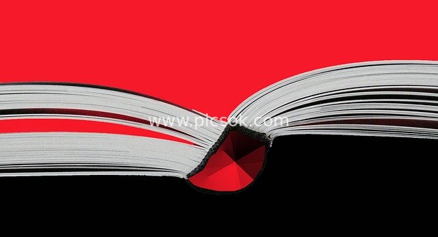 Creative Flipbook: Red Gem Reading & Learning Material