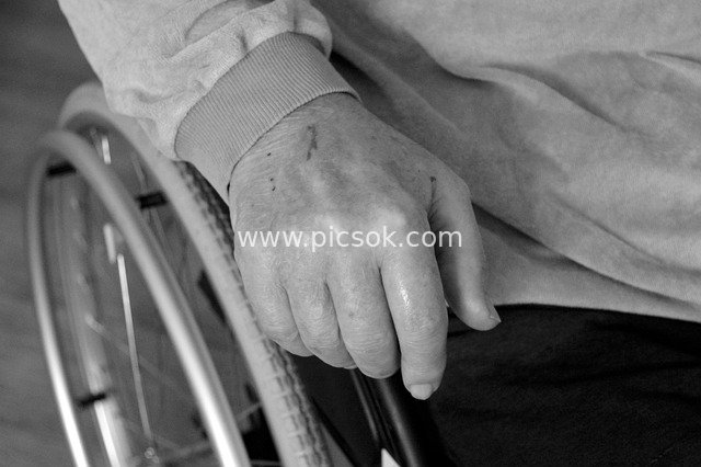 黑白特写：轮椅旁老人手与残疾生活瞬间