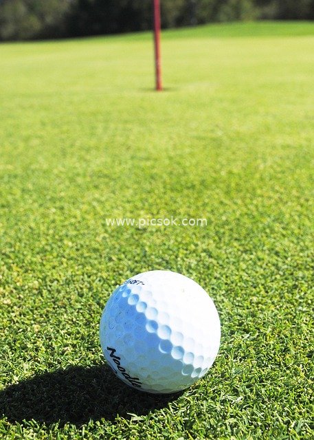 golf, green, ball, flag, course, sport, hole, play, playing