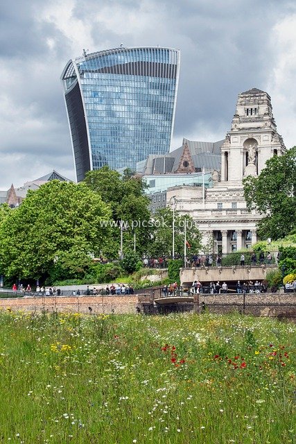 London's Urban Landscape: Modern & Classical Architecture Blended with Wildflowers and Pastoral Scenery