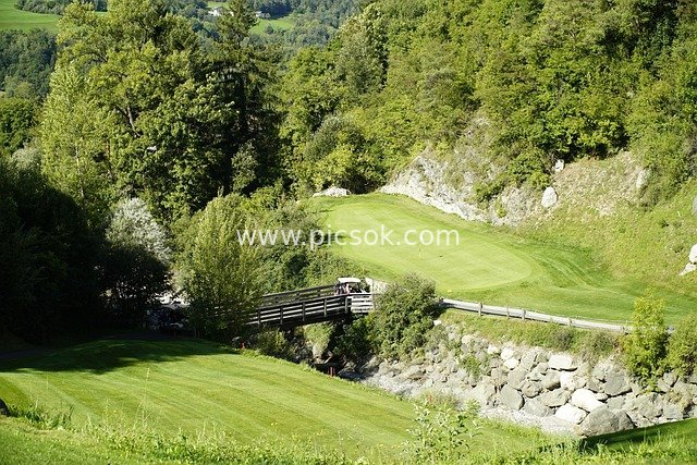 golf course, forest, trees, putting green, sports, italy, st vigil