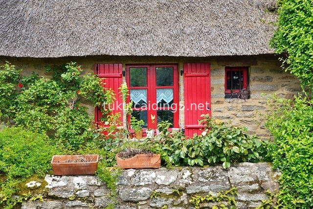 传统茅草石屋 红色门窗绿植环绕的乡村景致
