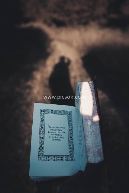 手持哲学书籍 静谧阅读 智慧思考场景