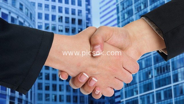 Business Handshake: A Symbol of Workplace Collaboration and Partnership