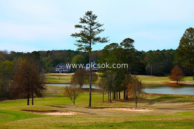 golf, sport, game, play, golf course, golfer, recreation, leisure, lifestyle, greens, landscape, nature, putting