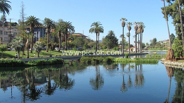 Lake View of Echo Park in Los Angeles: Serene Waters Fringed by Palm Trees