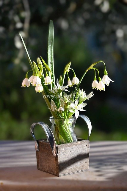 春日雪滴花乡村风花艺 户外自然清新装饰