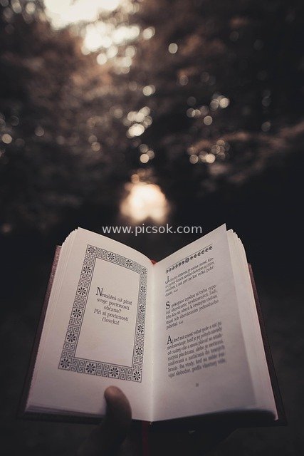 Scene of Holding and Reading a Philosophical Book: Literary Atmosphere for Wisdom and Reflection